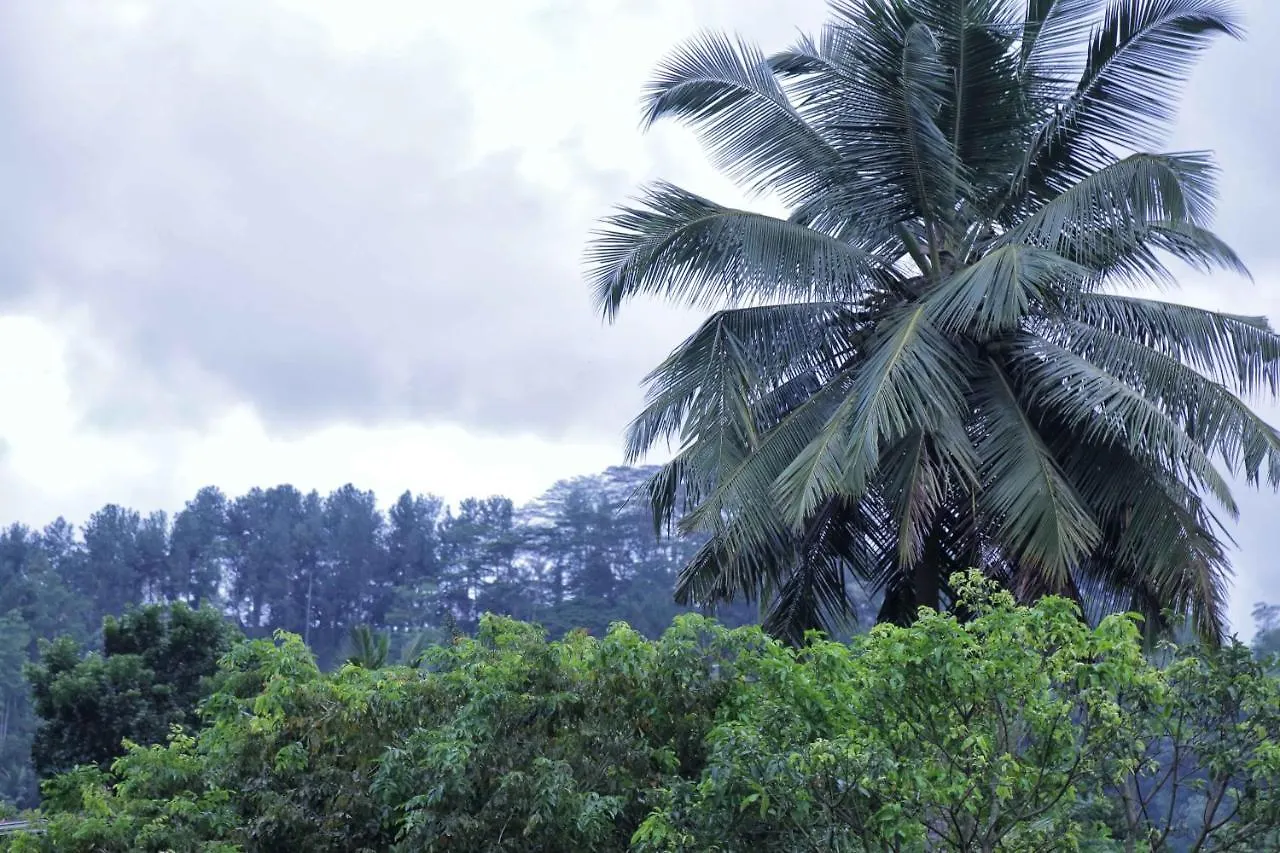 Guest house Mount River View Kandy